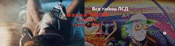 мяу мяу мука Абдулино